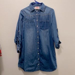 Denim button down dress